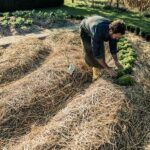Cultiva tu finca con agua: aprende cómo sembrarla
