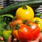 ¡Cultiva tu propia huerta en verano! Descubre qué plantar en casa