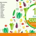 Cultiva tu propia lechuga romana en casa con estos consejos prácticos