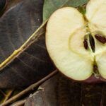 Cultiva tu propia manzana: aprende cómo sembrar semillas en casa