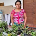 Cultiva tu propia moringa: aprende cómo sembrarla en maceta