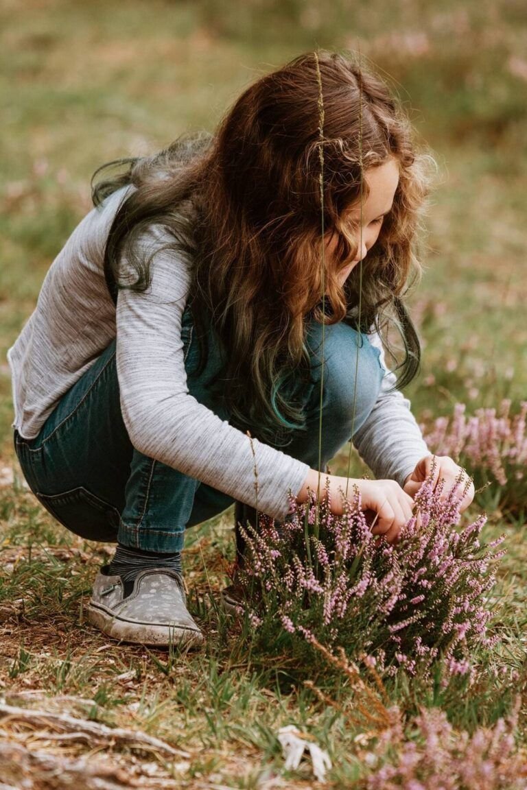 cultiva tu propia sansevieria aprende como plantar una hoja en casa