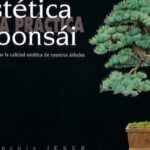 Cultiva tu propio bonsai: guía paso a paso para principiantes