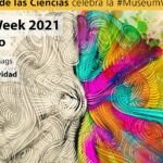 ¡Cultiva tu propio caqui! Aprende cómo sembrar un hueso en casa