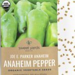 Cultiva tu propio chile habanero en macetas: guía fácil y práctica