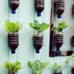 ¡Cultiva tu propio huerto fácilmente con estas plantas!