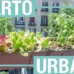 Cultiva tu propio huerto urbano en el balcón