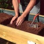 Cultiva tu propio huerto urbano en el balcón