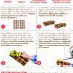 Cultiva tu propio laurel en casa: guía de siembra fácil