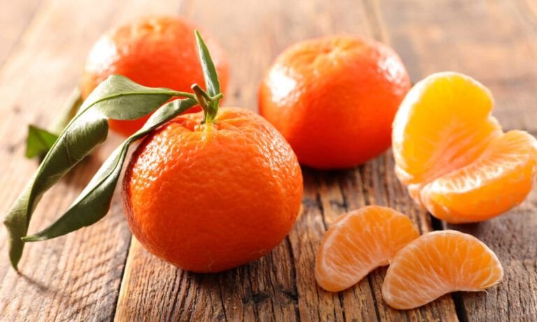 cultiva tu propio mandarino con semillas aprende como