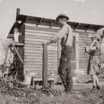 Cultiva tu propio olivo: aprende cómo plantar un hueso en casa