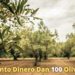 Cultiva tu propio olivo: aprende cómo plantar una oliva