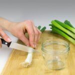 ¡Cultiva tus propias frutas y verduras en casa con facilidad!