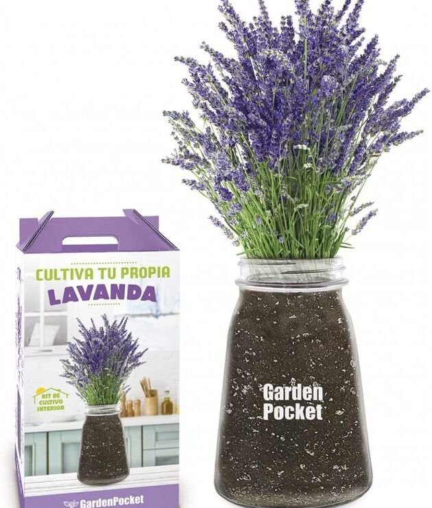 cultiva tus propias hierbas guia para plantar aromaticas en macetas