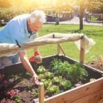 ¡Cultiva tus propias hortalizas en macetas! Descubre qué plantar