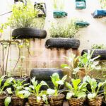 ¡Cultiva tus propias verduras en casa de forma fácil!