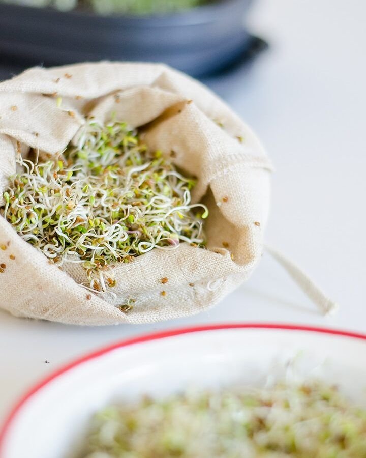 cultiva tus propios brotes de soja en casa guia facil y saludable