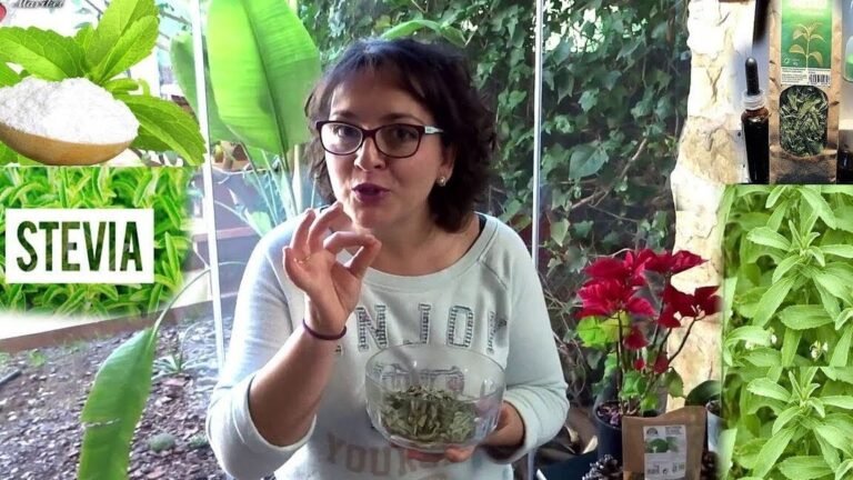 Cultiva tus propios regalices en casa