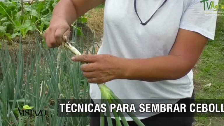 Descubre el secreto increíble para cultivar cebollas desde semillas como un experto