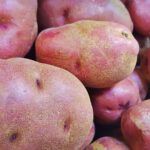 Cultiva tus propias patatas: paso a paso