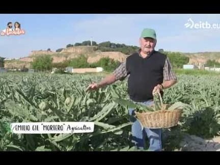 Guía completa: aprende cómo plantar alcachofas en casa