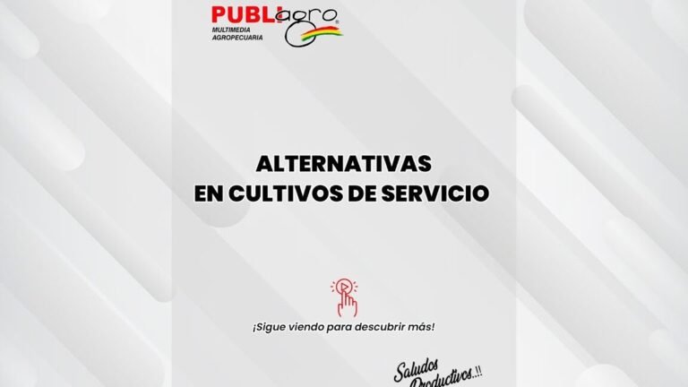 Descubre cómo la alfalfa puede transformar tu suelo y potenciar tus cultivos de forma sorprendente