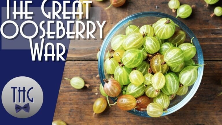 Guía completa para plantar deliciosos Currants en tu jardín