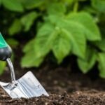 Descubre cómo elegir la azada adecuada para cada tarea en tu jardín