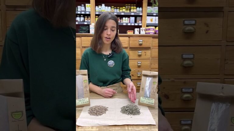 ¡Descubre cómo plantar cardos marianos y disfruta de sus beneficios!