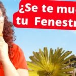 Descubre cómo plantar Pleiospilos: ¡Consejos y cuidados!