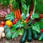 Descubre cómo plantar rabanitos en casa: guía fácil y práctica