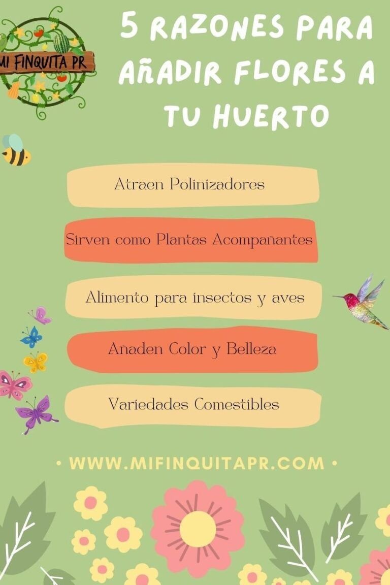 descubre la belleza y el sabor en tu jardin plantas con flores comestibles