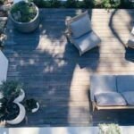 Descubre las mejores plantas de sombra para dar vida a tu jardín o patio