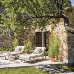 Descubre los mejores árboles para sembrar en tu hogar