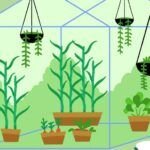 Descubre los mejores tipos de plantas para cultivar en casa