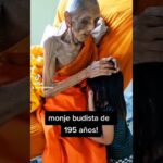 Descubre los secretos para plantar Pinos Canarios con éxito observando a un monje budista anciano de túnica naranja que posa la mano sobre la cabeza de una niña en una escena íntima.