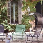 Descubre qué árbol es perfecto para tu patio en casa