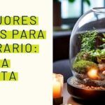 Descubre qué plantas elegir para tu jardín: guía completa