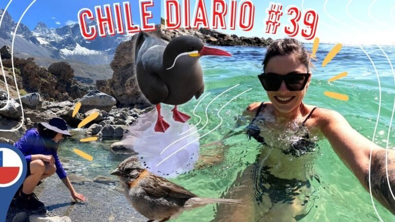 Guía Completa: ¿Qué se puede plantar en diciembre en Chile? ¡Descúbrelo aquí!