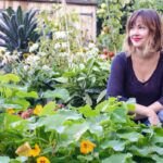 Dónde plantar albahaca: consejos para tu huerto