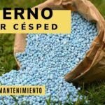 Duración del efecto del abono en un césped verde y saludable: consejos clave