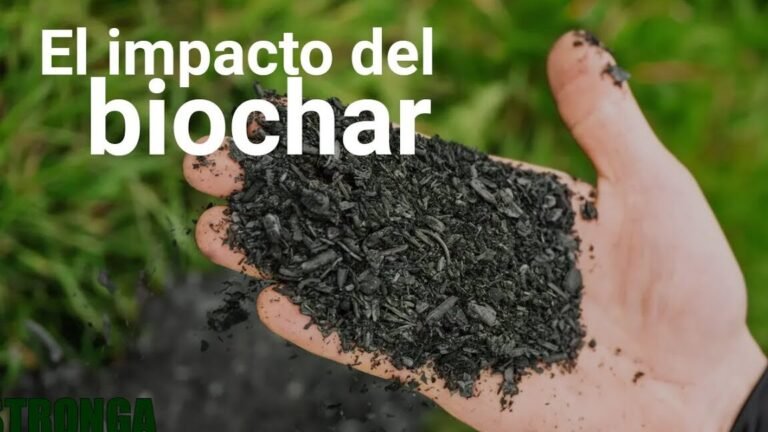 Descubre el secreto del biochar: el carbón que transformará tu jardín para siempre