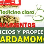 Descubre los secretos para plantar cardamomos con éxito en casa en una imagen que muestra vainas de cardamomo, beneficios y consejos de cultivo.