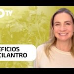 Descubre el secreto para cultivar cilantro y coriandro en tu jardín de hierbas y transforma tus platillos