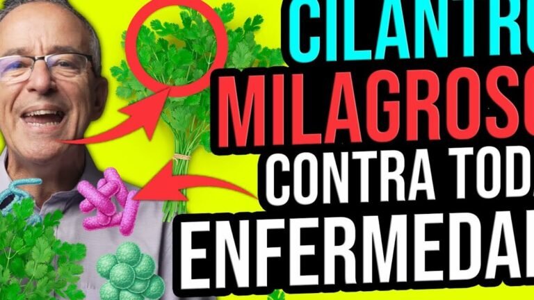 Descubre cómo plantar cilantros fácilmente en tu jardín