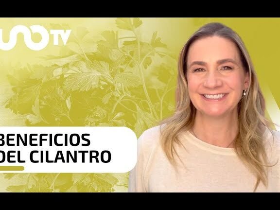 Descubre el secreto para cultivar cilantro y coriandro en tu jardín de hierbas y transforma tus platillos