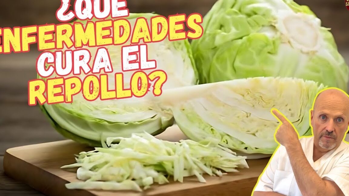 Que Es Repollo Descubre el Secreto para Cultivar Repollos Gigantes que Todos Querrán ...