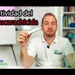 elimina cucarachas con gel profesional guia completa y eficaz