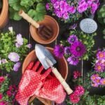 Embellece tu hogar con flores fáciles de sembrar en casa