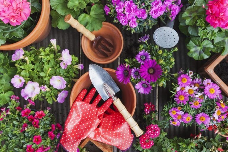 embellece tu hogar con flores faciles de sembrar en casa